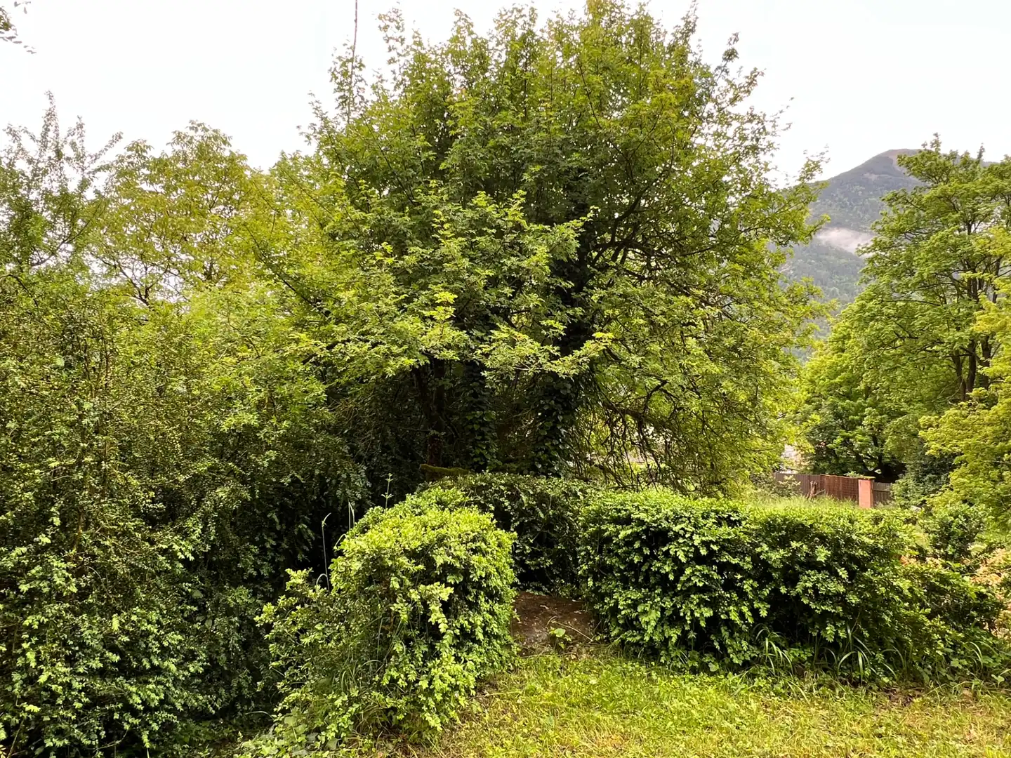 Casa o chalet en venta en Calle Única, 52, Broto