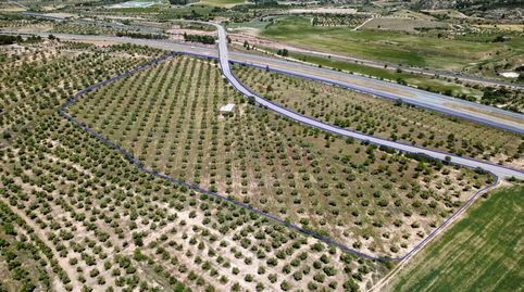 En venda al municipi de Les Borges Blanques (25400). Finca rústica de 86.451 m2 de superfície total. 77.350 m2 són de secà i 9.101