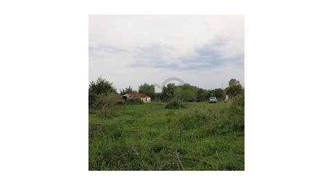 Foto 2 de Finca rústica en venda a Huerta Nueva, Málaga