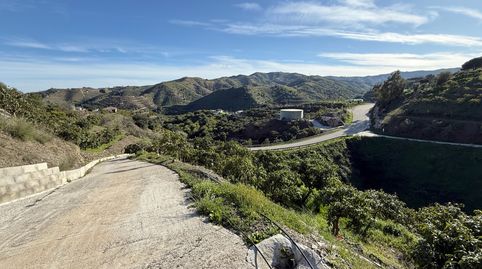 Foto 2 de Finca rústica en venta en Almáchar, Málaga