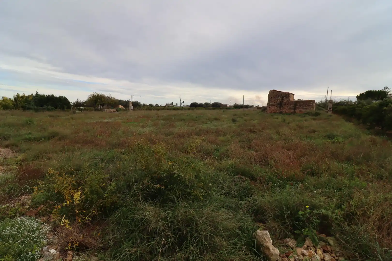 Terreno rústico en venta en Alcanar, imagen 17