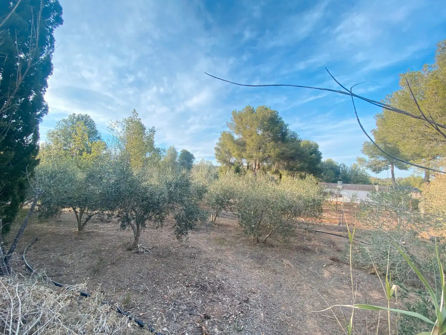 Casa o xalet en venda a Carlet