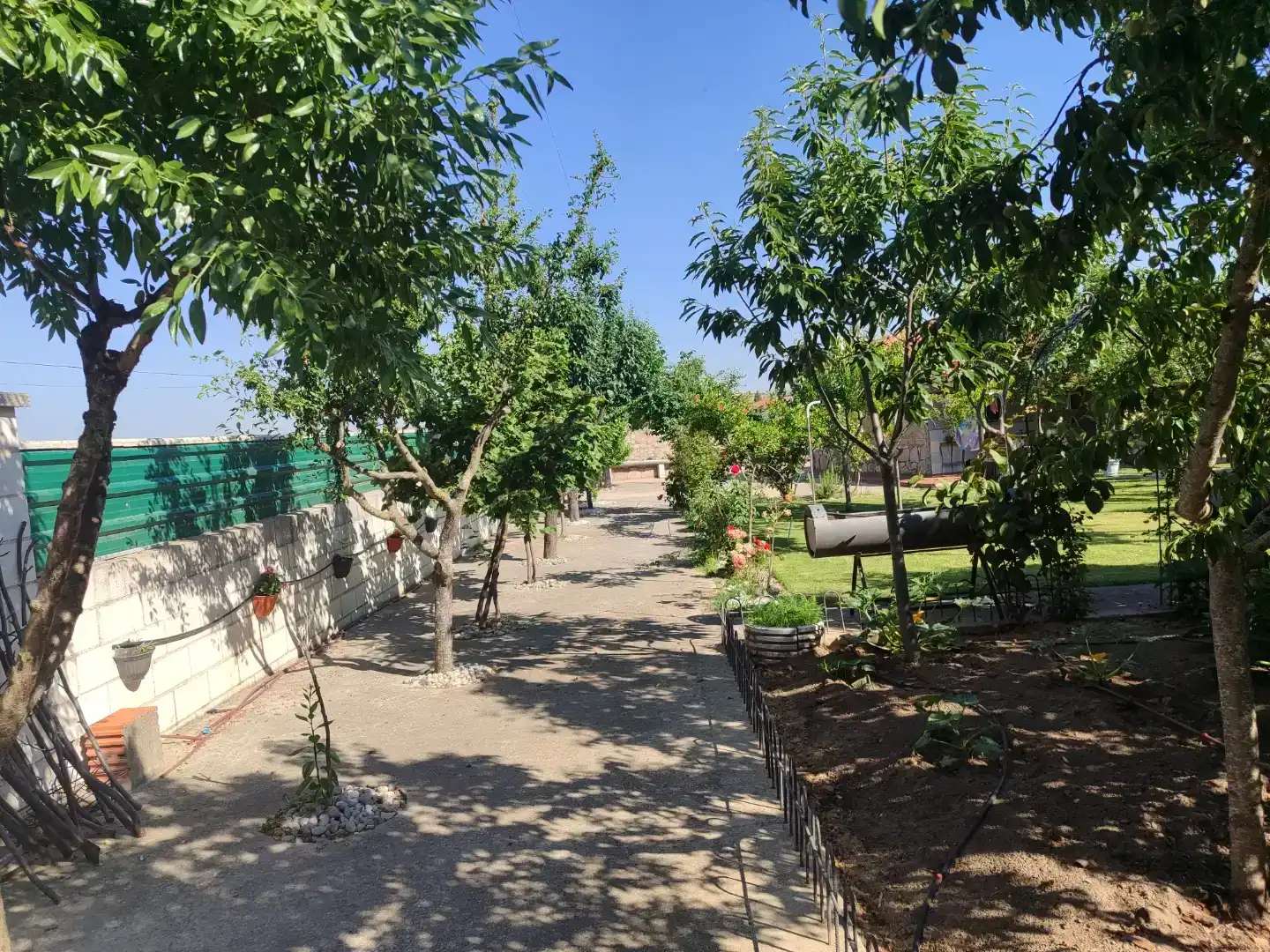 Vista exterior de Casa o chalet en venta en Calvarrasa de Abajo