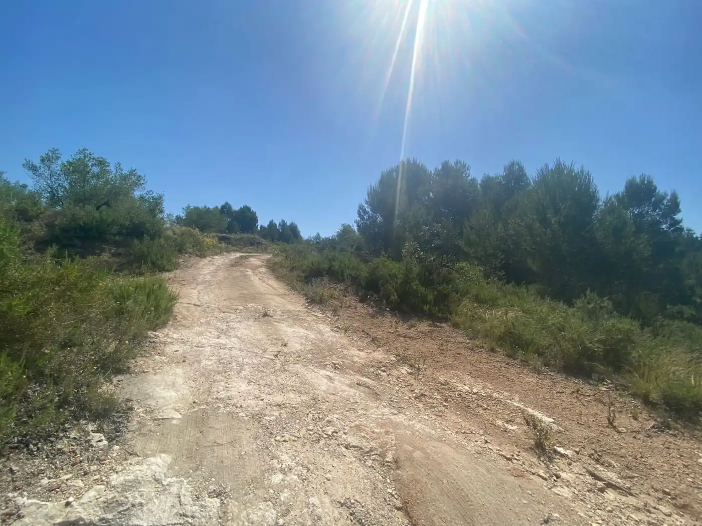 Terreno rustico in vendita a POLÍGONO 10 PARCELA 493, imagen 16