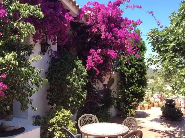 Jardí de Finca rústica en venda en Polop amb Aire condicionat, Calefacció i Jardí privat