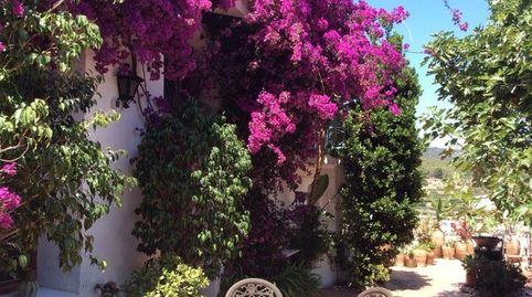 Foto 3 de Finca rústica en venta en Casco urbano, Polop