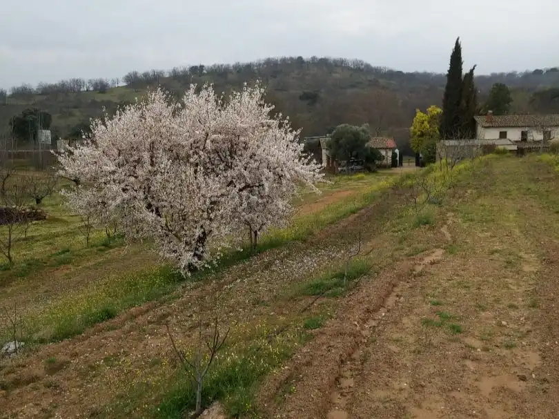 Grundstücke zum Verkauf in Tejeda de Tiétar