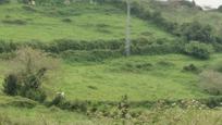 Land for sale in Villaviciosa
