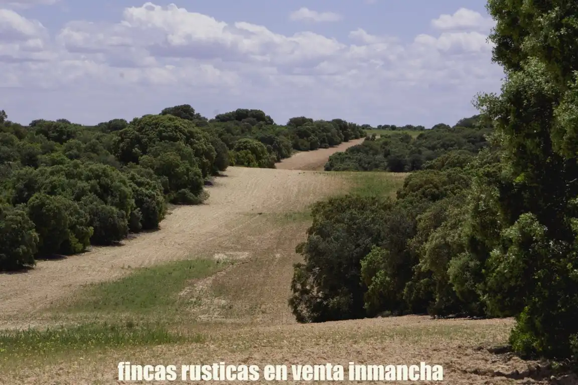 Terreni e lotti in vendita a Belmonte, imagen 27
