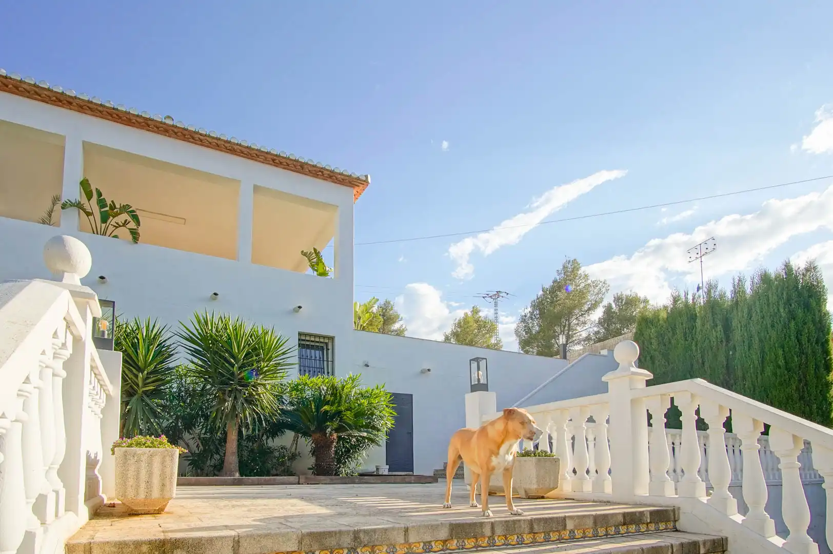 Exterior view of Houses for sale in Dénia  with Private garden and Balcony