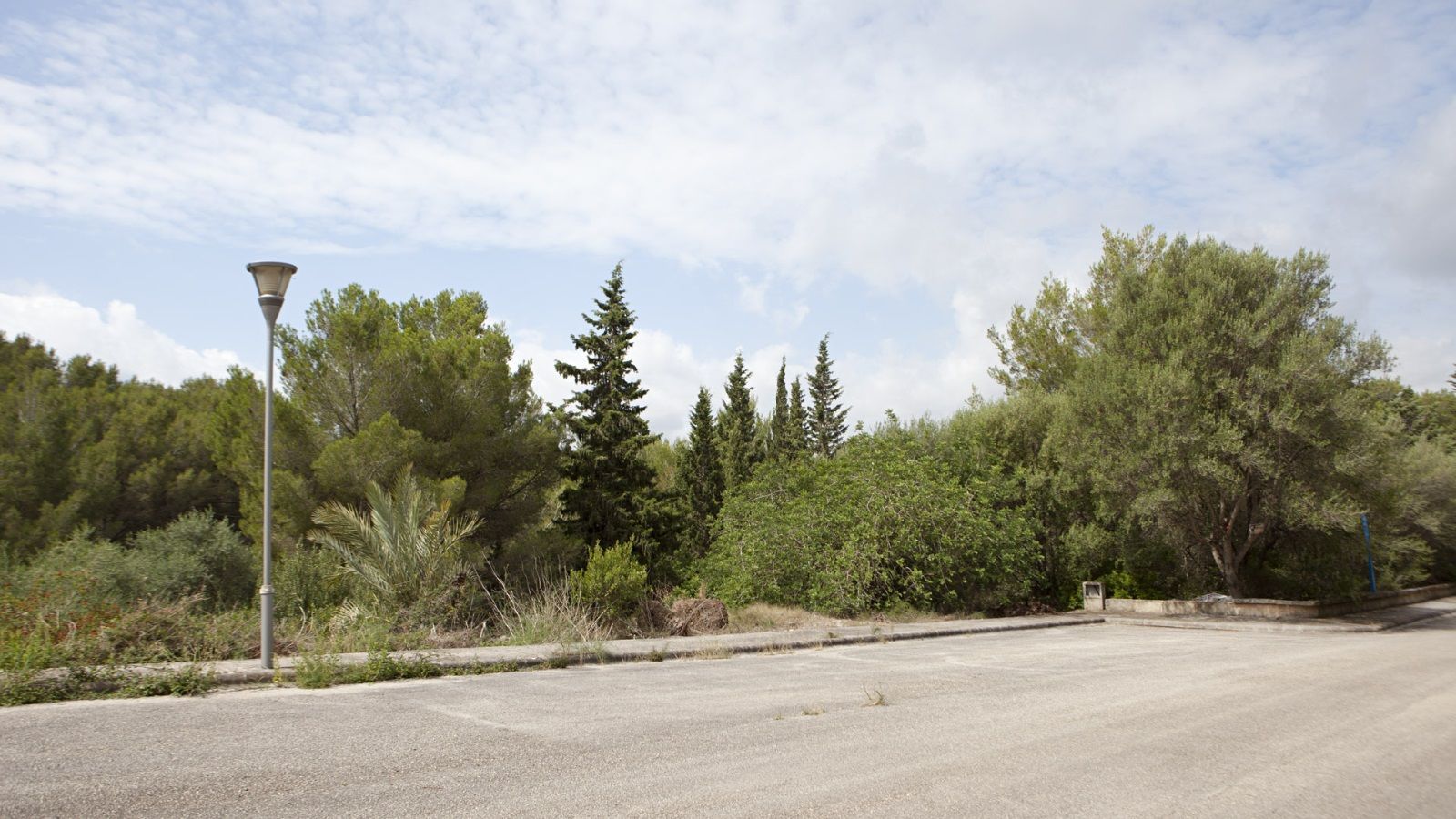 Exterior view of Land for sale in Alcúdia