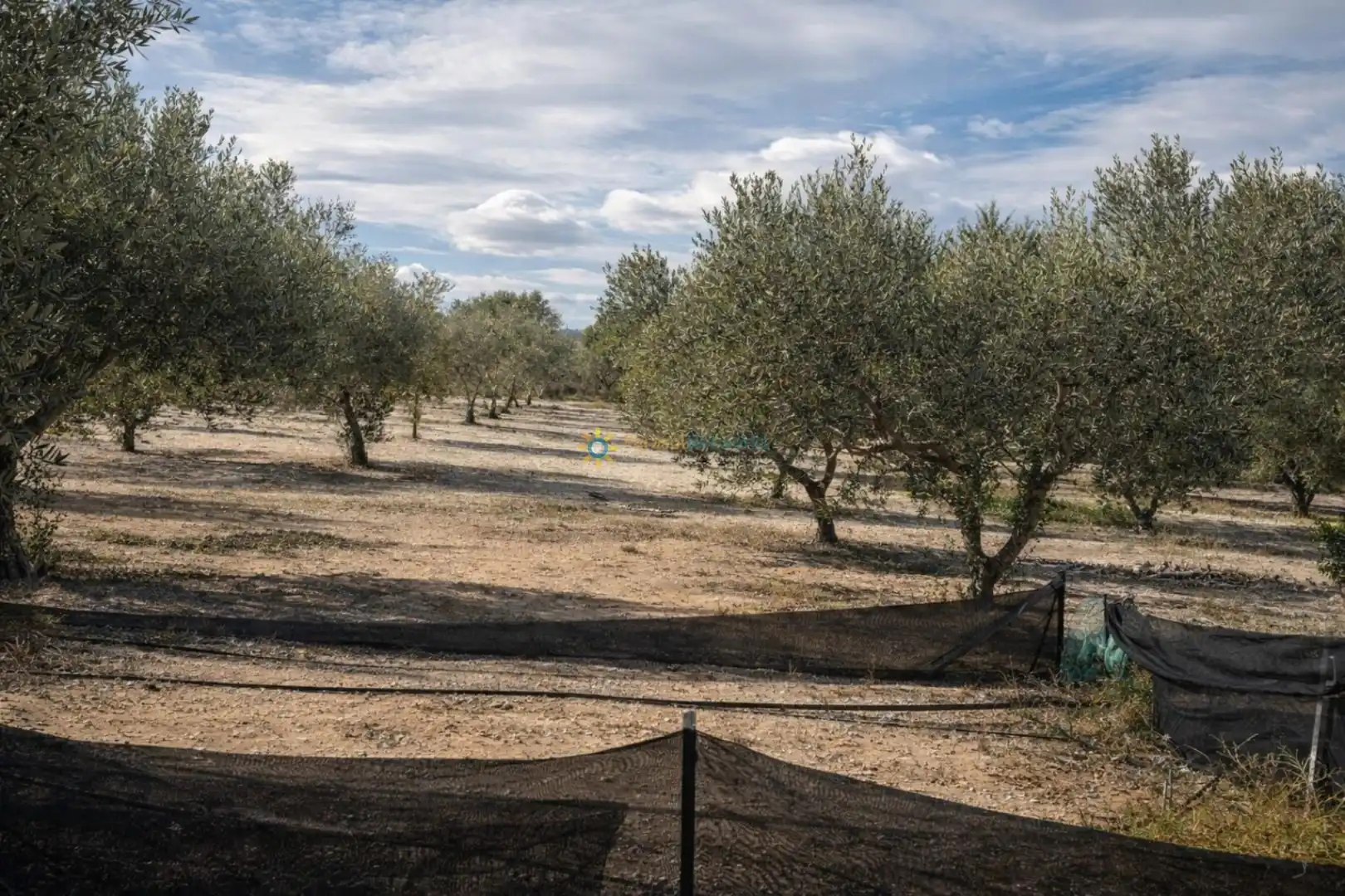 Finca rústica en venta en Bufali con Jardín privado, Terraza y Trastero