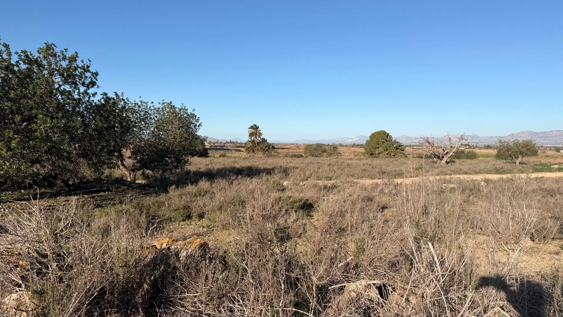 Terreno residencial en venta en La Marina, imagen 35