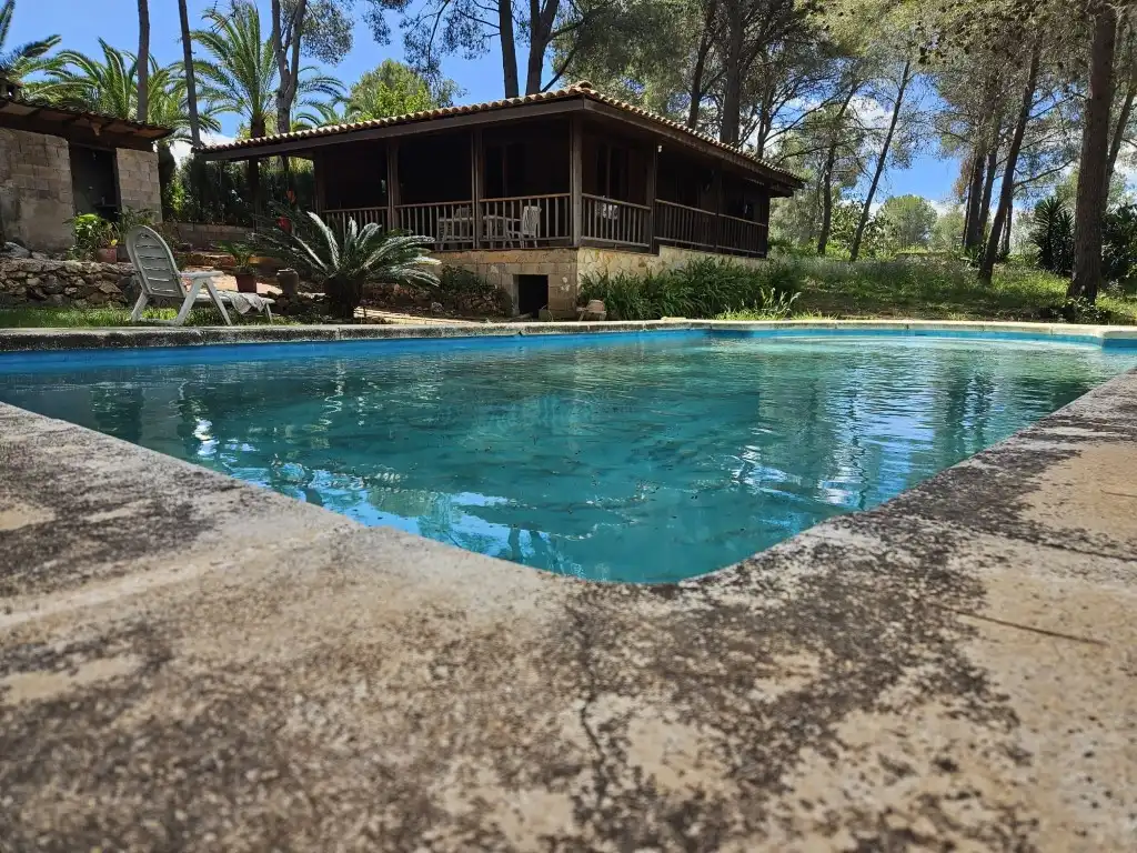 Piscina de Casa o chalet en venta en Alberic con Jardín privado, Terraza y Piscina