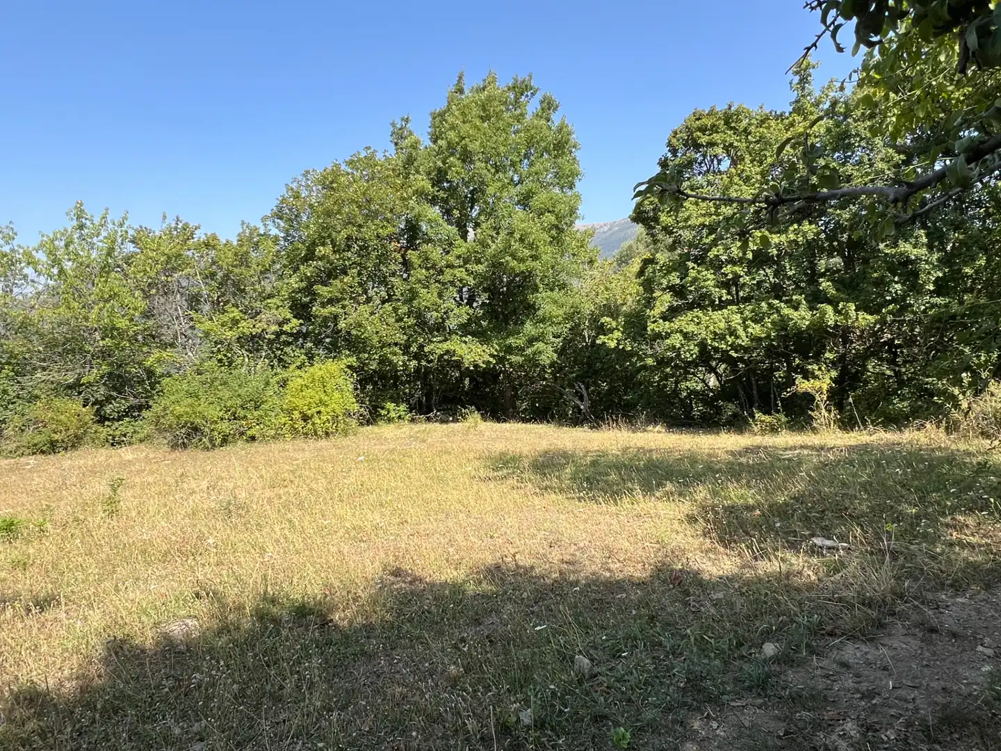 Land for sale in Broto