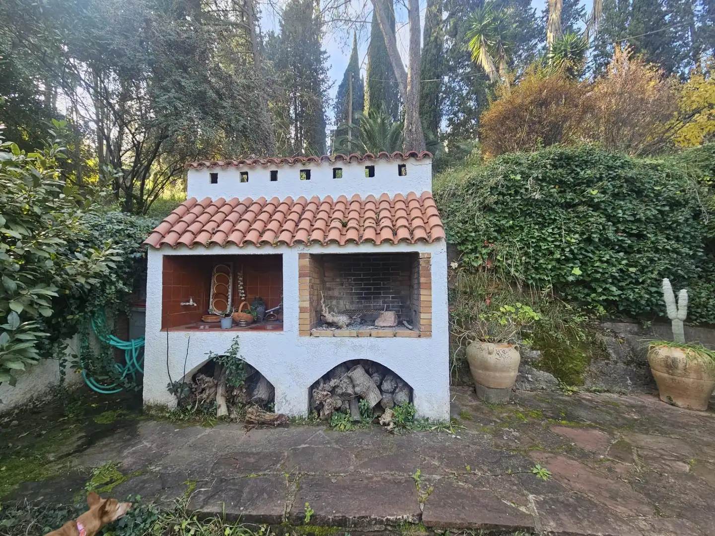 Jardín de Finca rústica en venta en Castellví de Rosanes
