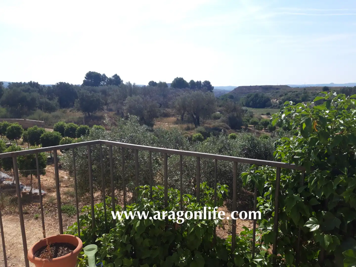 Jardín de Finca rústica en venta en Caspe con Amueblado