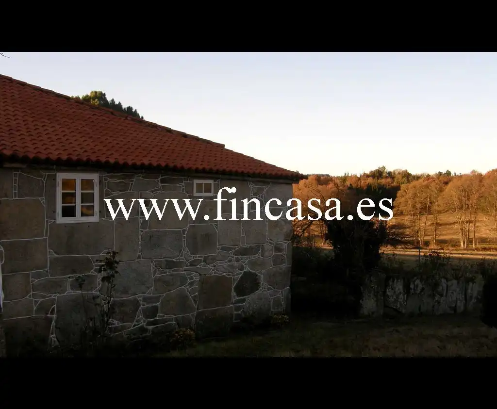Vista exterior de Finca rústica en venta en Monterroso