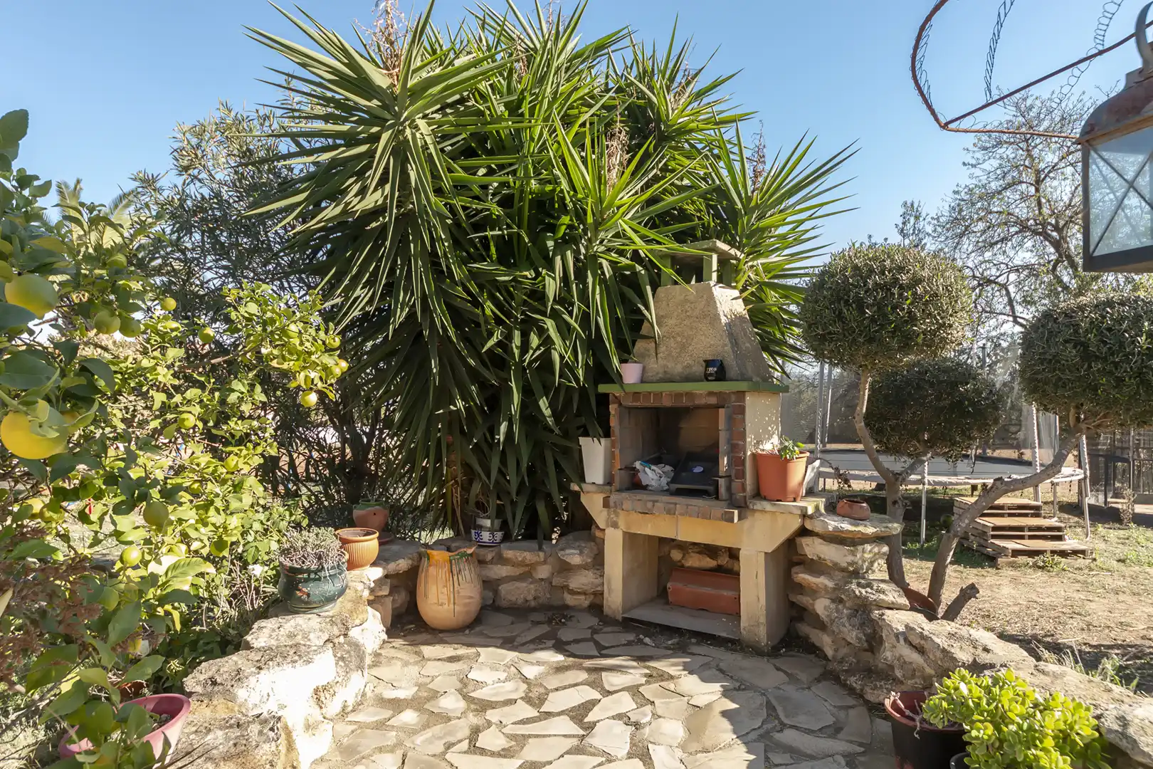 Jardí de Finca rústica en venda en Banyeres del Penedès amb Jardí privat, Parquet i Piscina