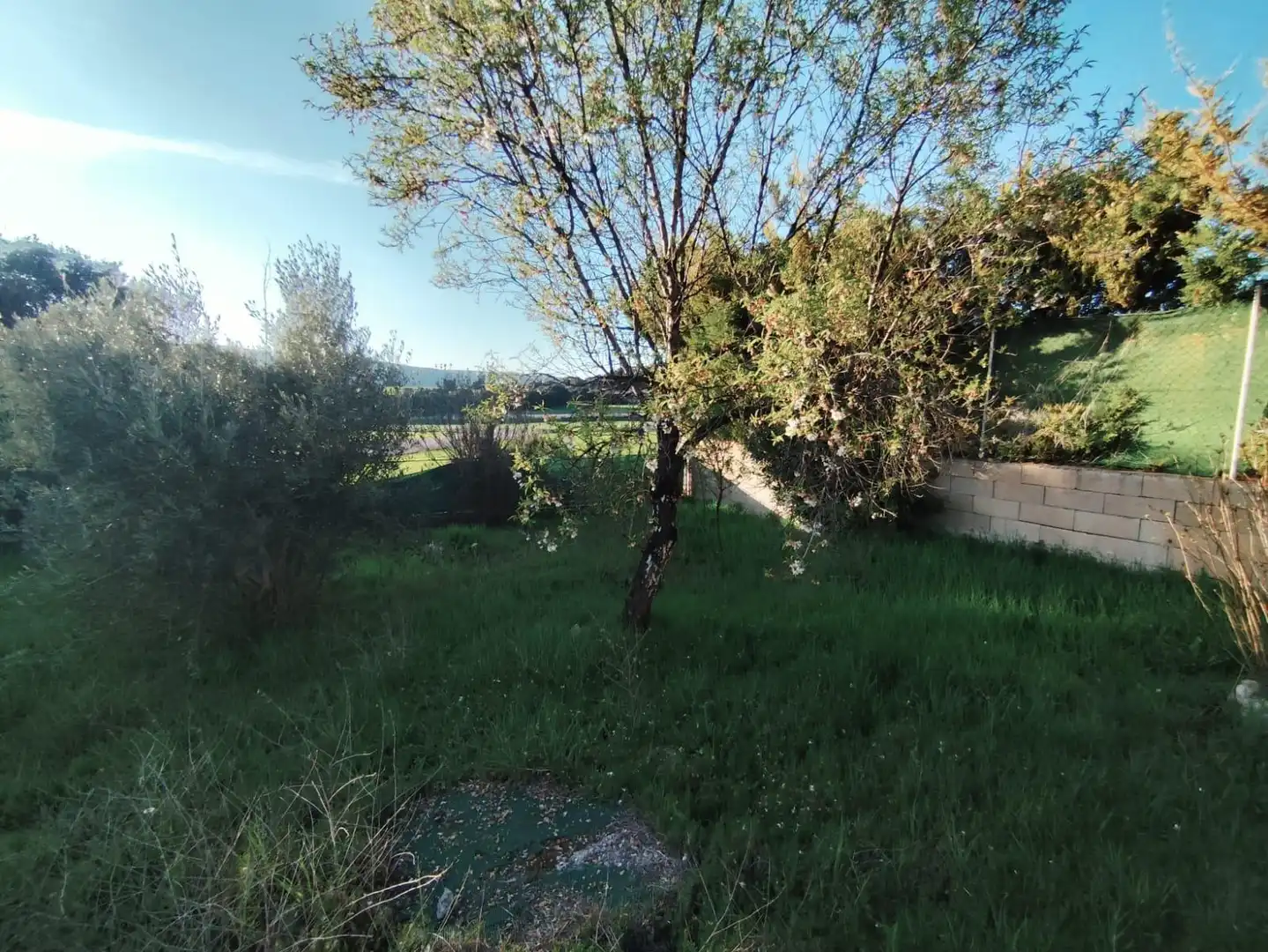 Xalet en venda a Fuentenovilla, imagen 48