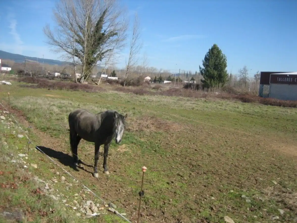 Terreni e lotti in vendita a Cacabelos, imagen 2