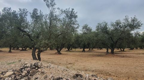 Finca en venta en Xerta, immagine 3