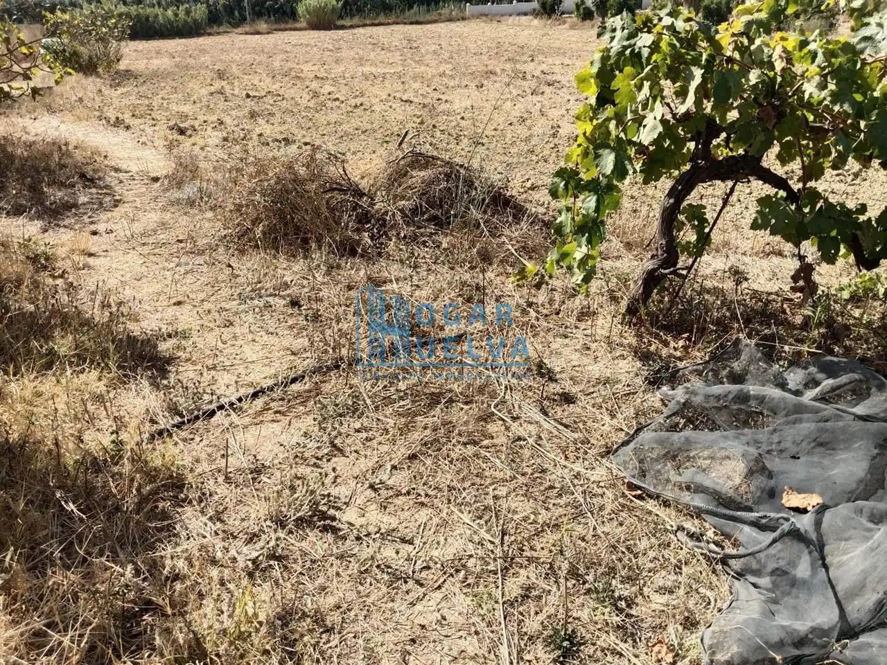 Terrenos y solares en venta en dehesa Aljaraque, imagen 7