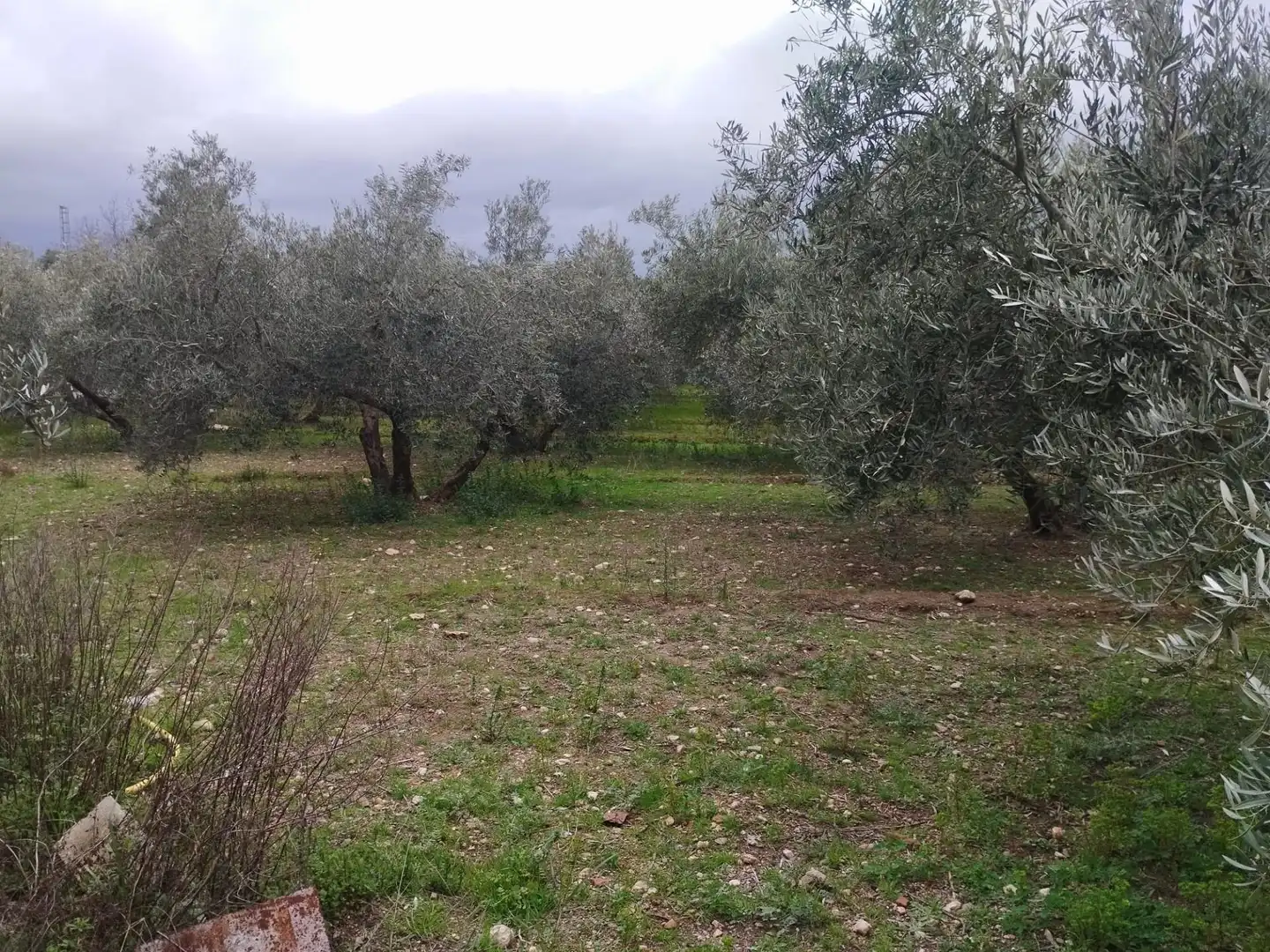 Terreni e lotti in vendita a Camino del cerro poligono 3 parcela, imagen 16