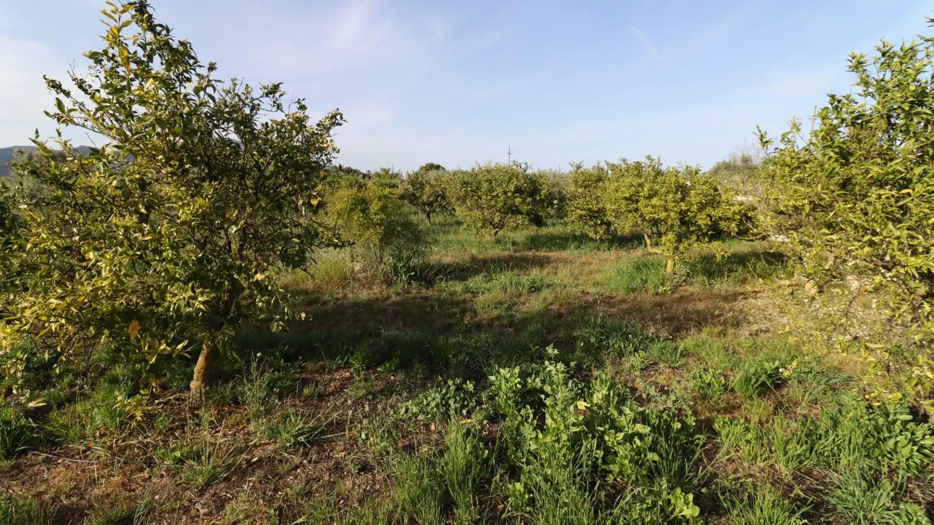 Finca rústica en venda en Alcanar amb Jardí privat i Piscina comunitària