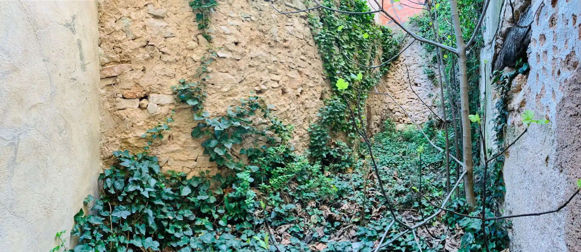 Casa rustica in vendita a Tivissa, imagen 14