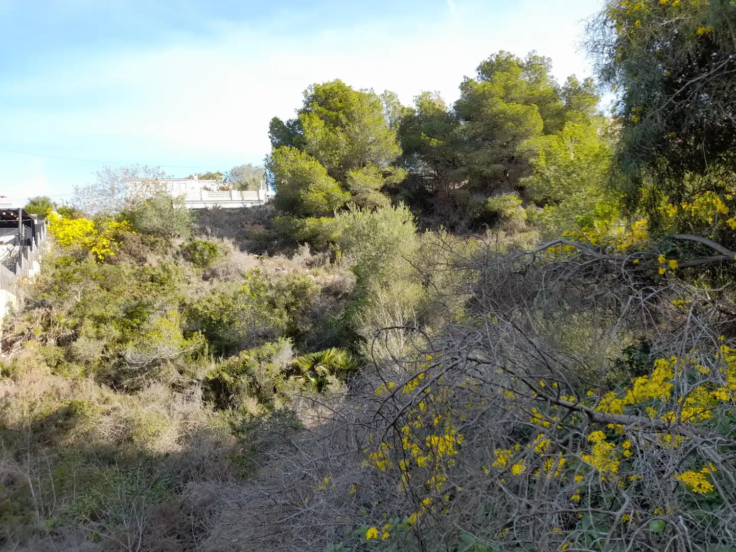 Wohnbaugrundstück zum Verkauf in Avenida de Santa Maria de Montserrat 219, imagen 13