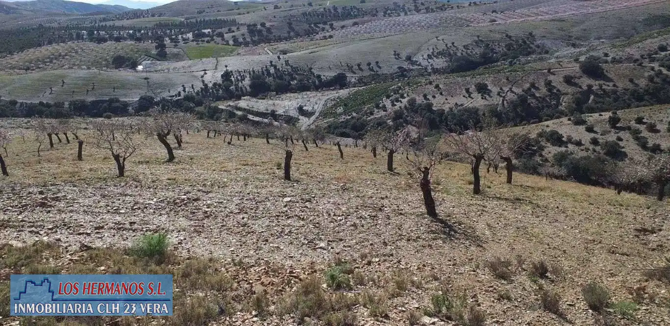 Finca rústica en venta en Vélez-Rubio