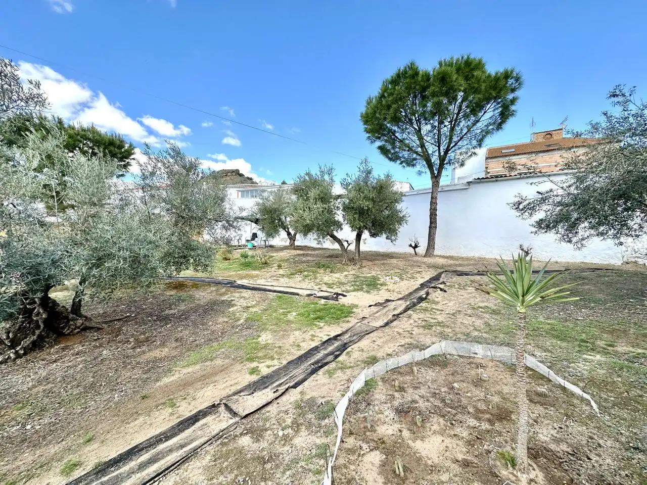 Casa amb jardí en venda a Villanueva de Algaidas, imagen 44