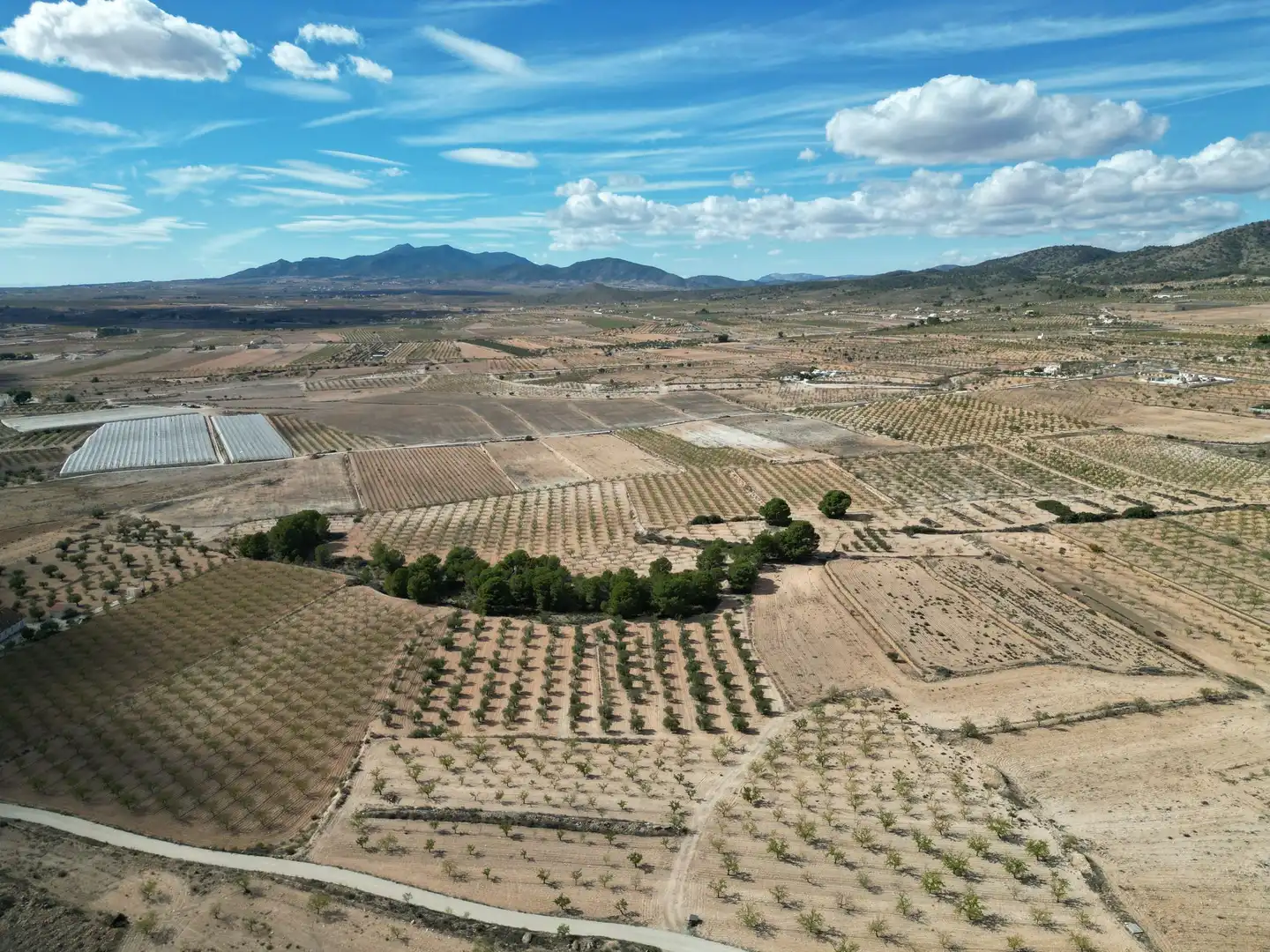 Terreno residencial en venta en El Pinós / Pinoso, imagen 18