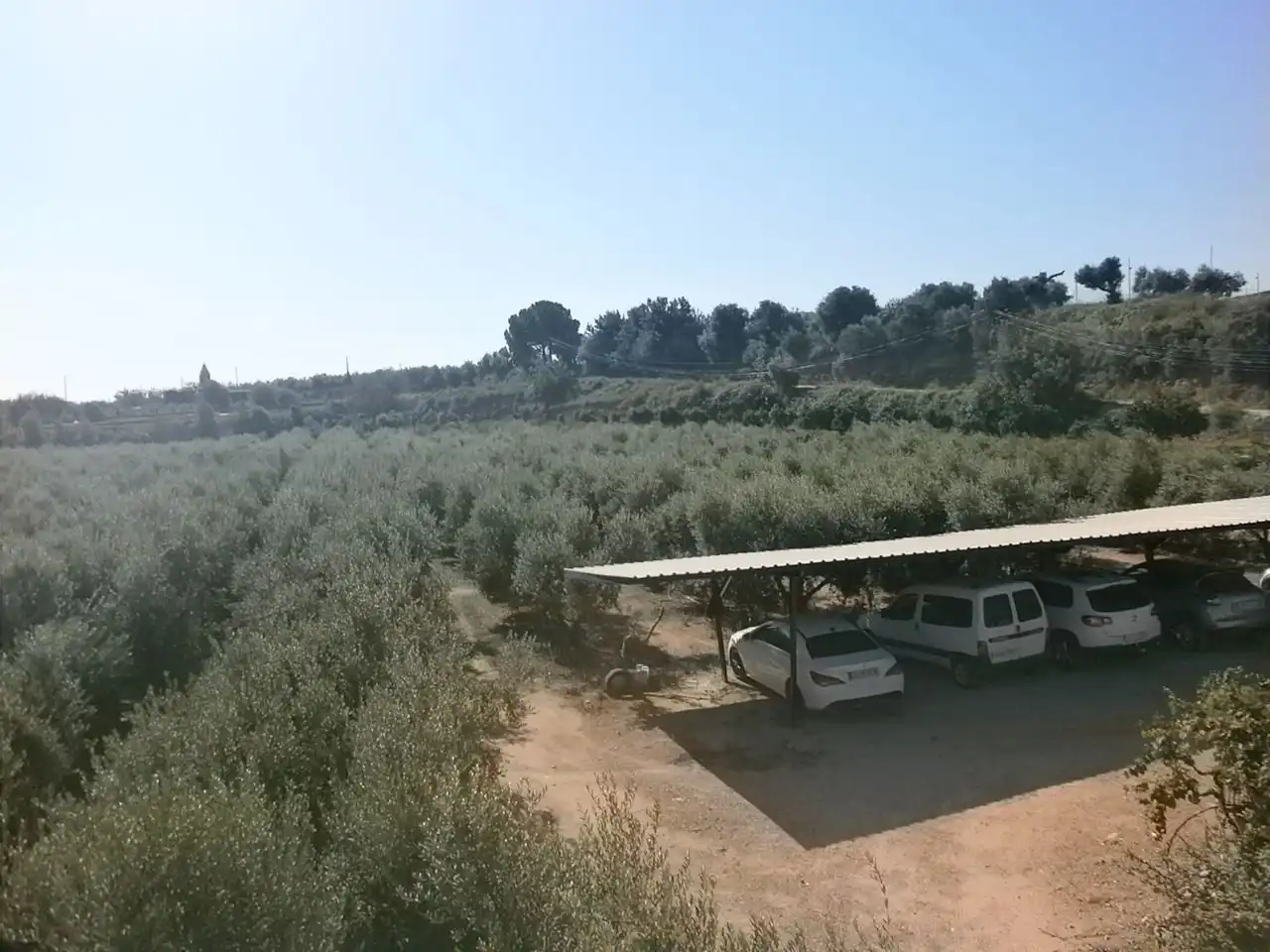 Terreny rústic en venda a Riudoms, imagen 29