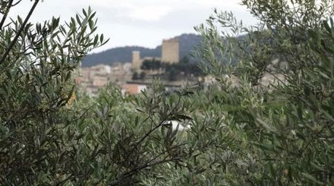 PARCELA ÚNICA CON AGUA, LUZ Y CONSTRUCCIÓN LEGAL HASTA 300 m2 EL LUGAR DONDE HACER REALIDAD TU HOGAR SOÑADO!, imagen 2