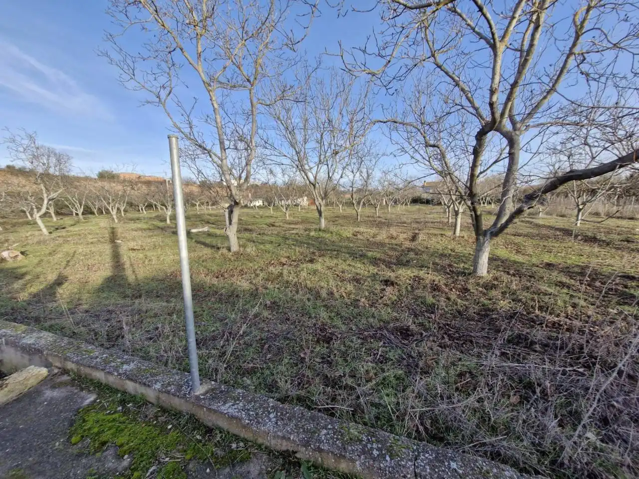 Rural land for sale in Calle DISEMINADO, imagen 16