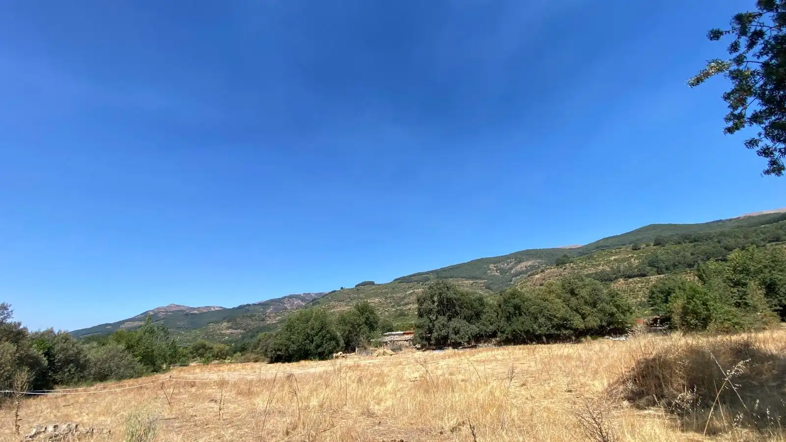 Rural land for sale in Calle el Roble 4, imagen 8