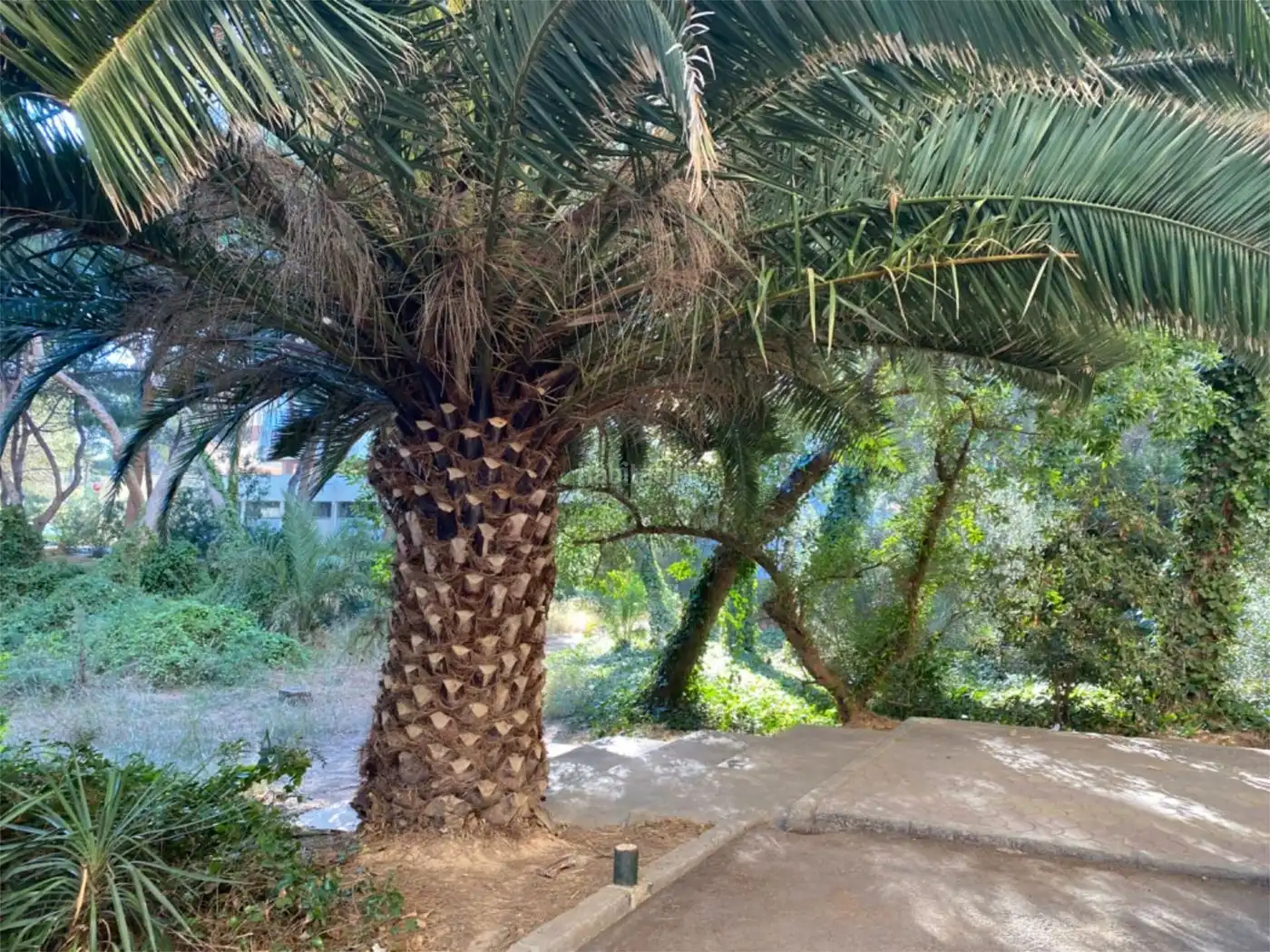 Pis amb piscina de lloguer a Avenida Gola del Puchol 6, imagen 10