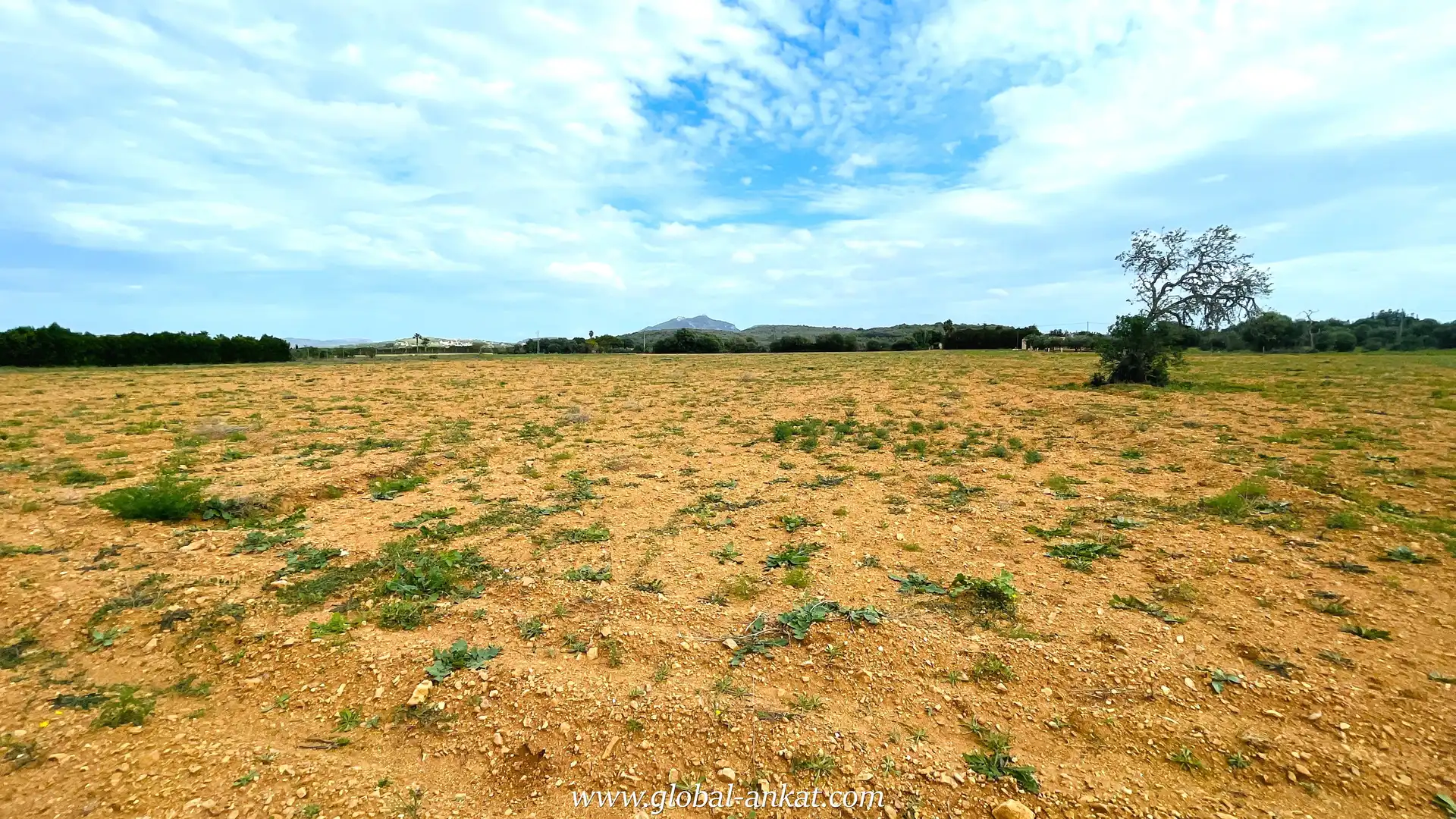 Residential land for sale in Felanitx Poble, imagen 3