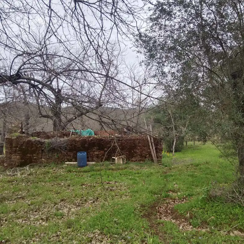 Finca rústica en venta en Aracena