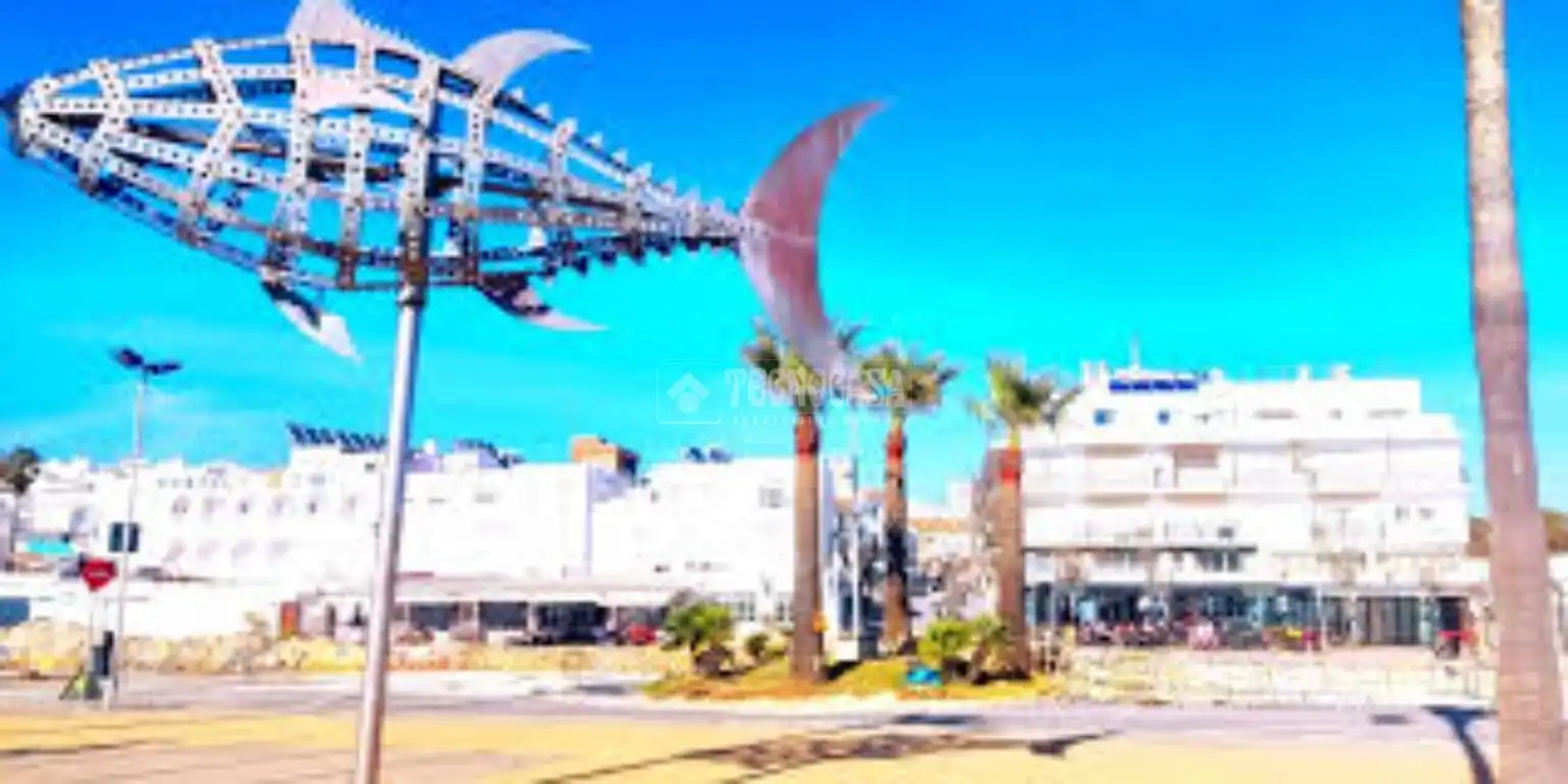 Vista exterior de Casa adosada en venta en Conil de la Frontera con Terraza