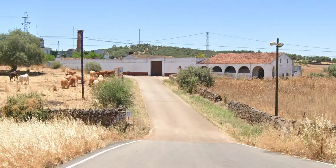 Vista exterior de Residencial en venta en Olivenza
