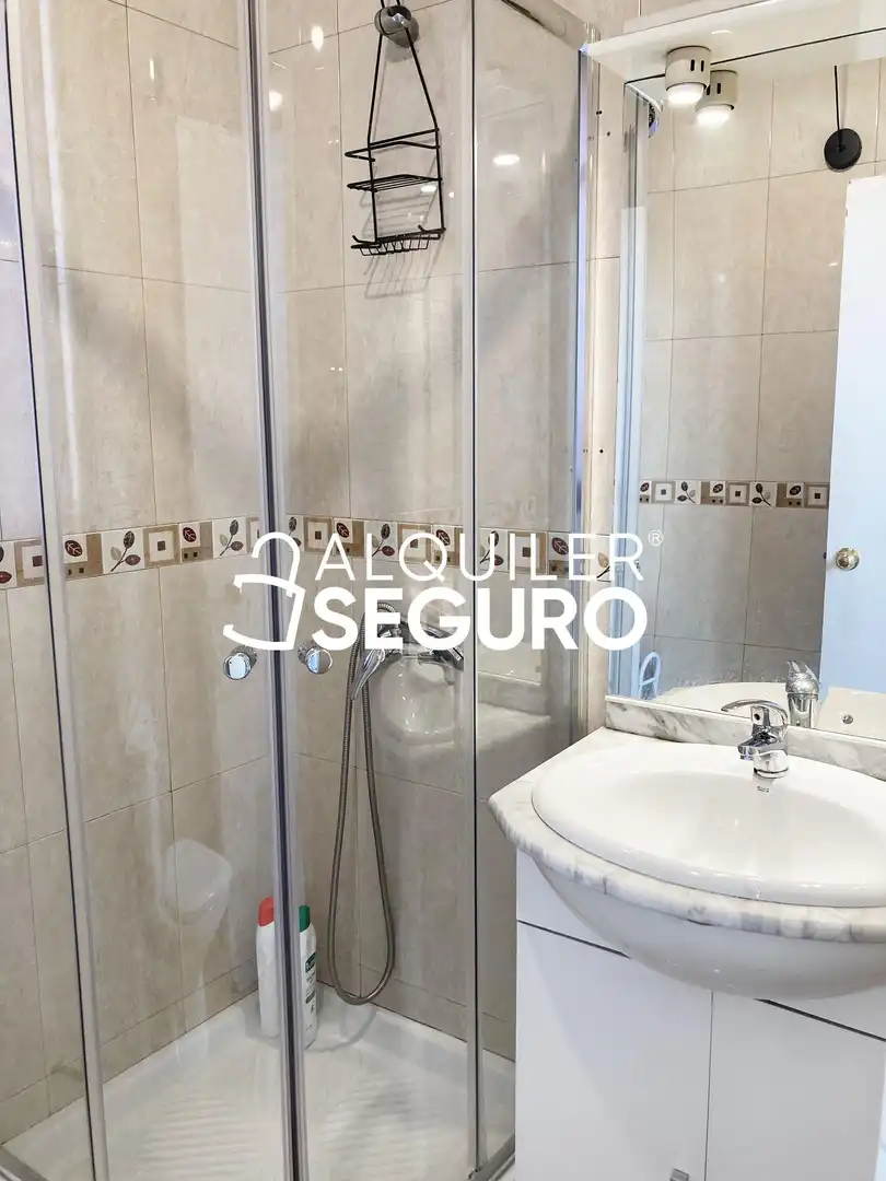 Piso de alquiler en del Olivar, Embajadores - Lavapiés