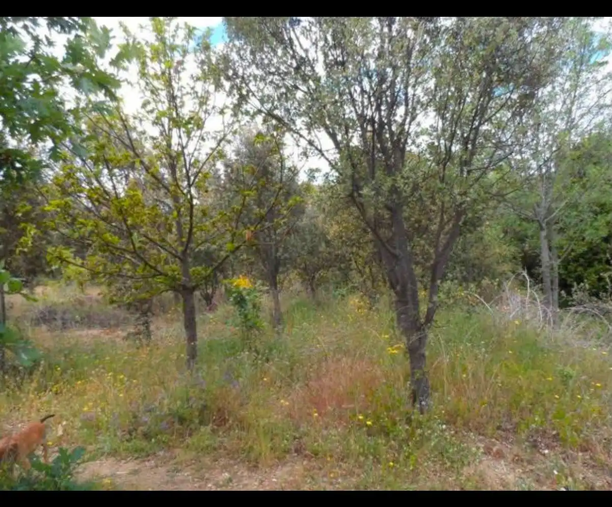 Terreni e lotti in vendita a Burgohondo, imagen 6