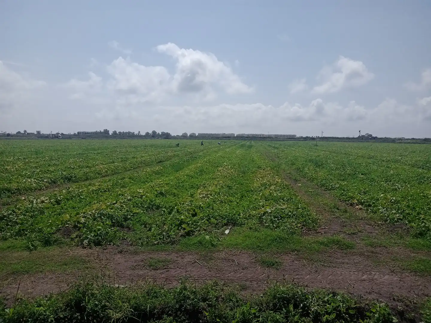 Rural land for sale in N/A, imagen 26