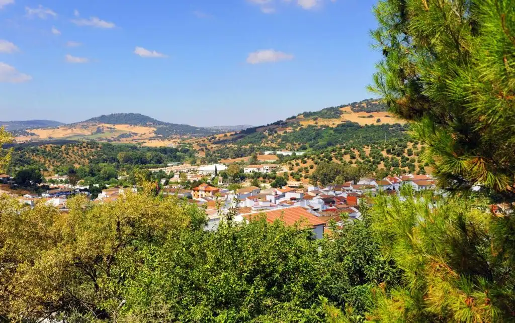 Terreno rustico in vendita a Avenida Juan XXIII 56A, imagen 4