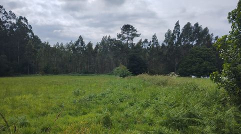 SE VENDE FINCA RUSTICA EN ANCA (NEDA) 8 FERRADOS, immagine 2