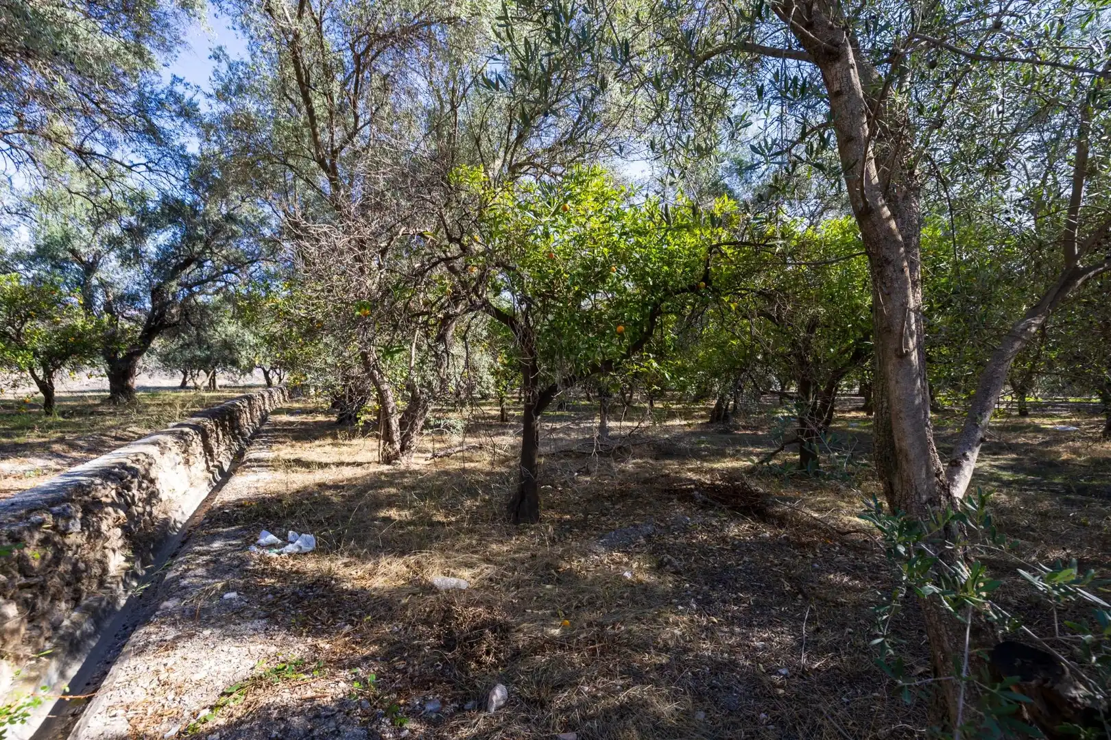 Land for sale in Lecrín