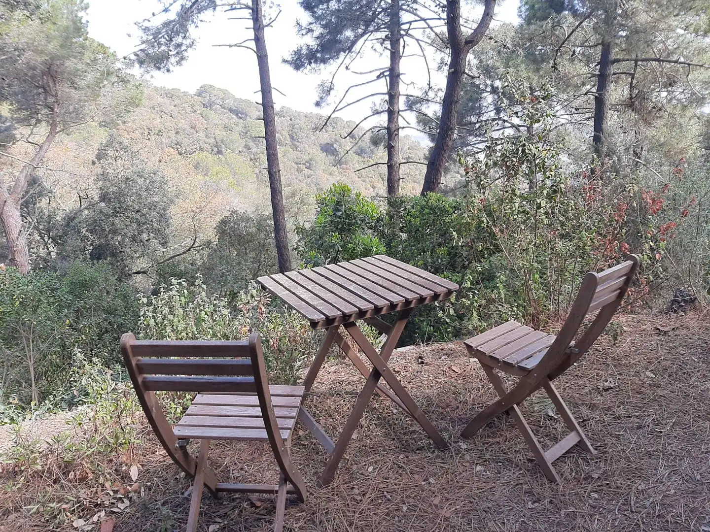 Terrace of Houses for sale in Palafolls